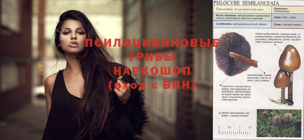 Альфа ПВП Балабаново