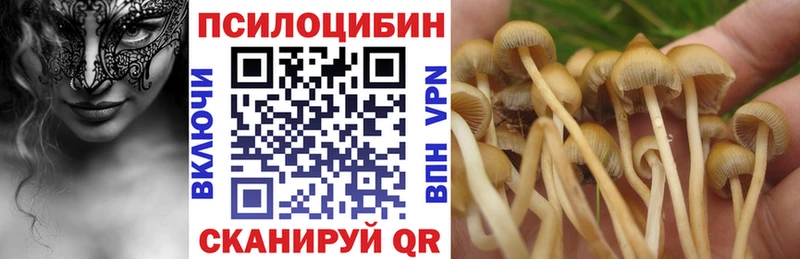 Галлюциногенные грибы Magic Shrooms  OMG как зайти  Бикин 